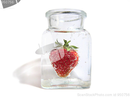 Image of fresh strawberry 