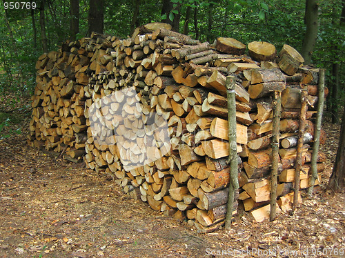 Image of Woodpile 