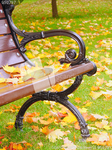 Image of Park bench in autumn closeup