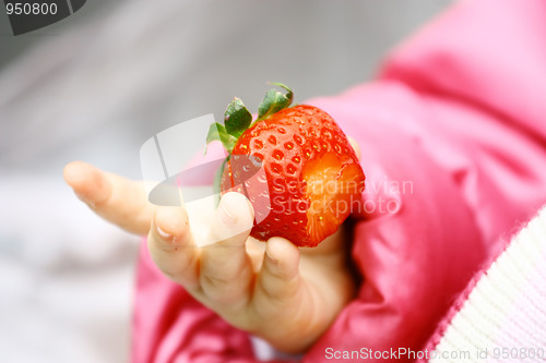 Image of Strawberry in child hand