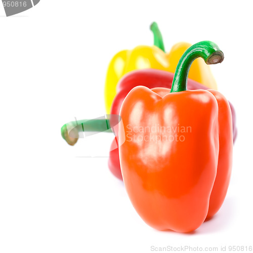 Image of three bell peppers