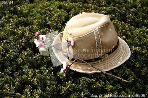 Image of Hat