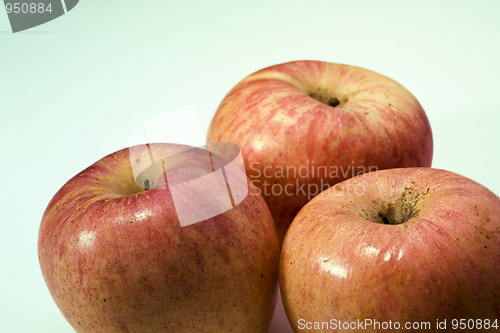 Image of red apples 