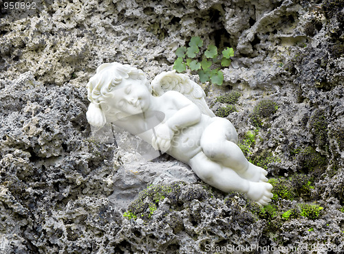 Image of sleeping angel