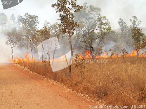 Image of Bush fire 2