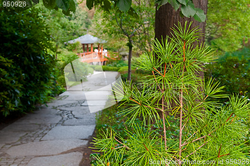 Image of Japanese garden