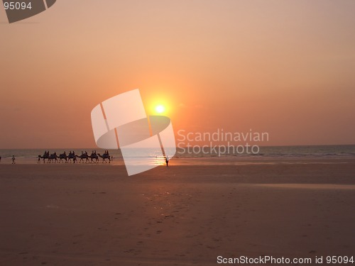 Image of Camels on Cable Beach