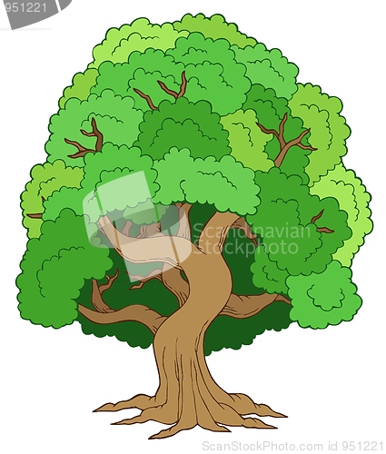 Image of Green leafy tree