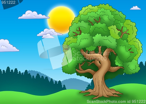Image of Green leafy tree in landscape