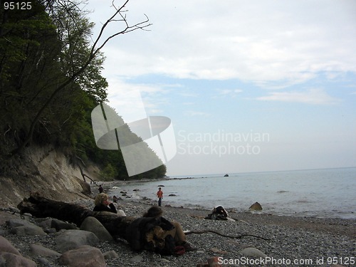 Image of Cold Beach