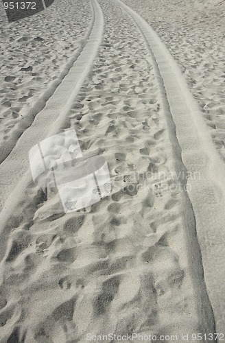 Image of Tire tracks on the beach