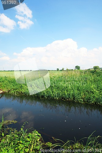 Image of Green field