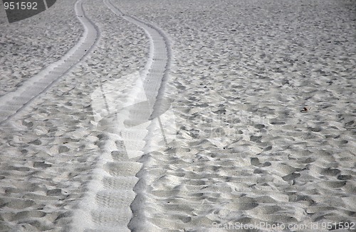 Image of Tire tracks in sand on the beach