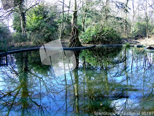 Image of Reflection in a water
