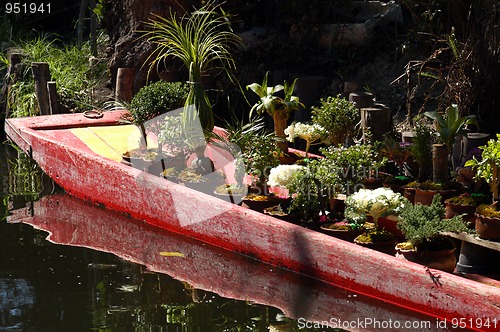 Image of Boat in Mexico city Xochimilco