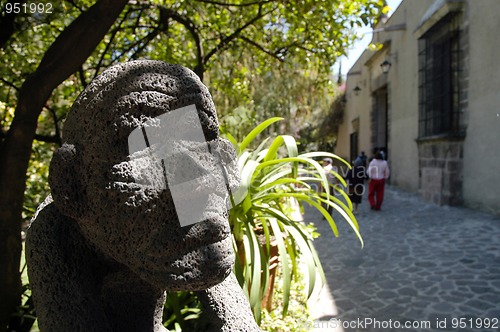 Image of Museo Dolores Olmedo Patino, Mexico city , with flower garden