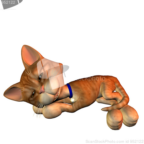 Image of Katze in schlafender Pose