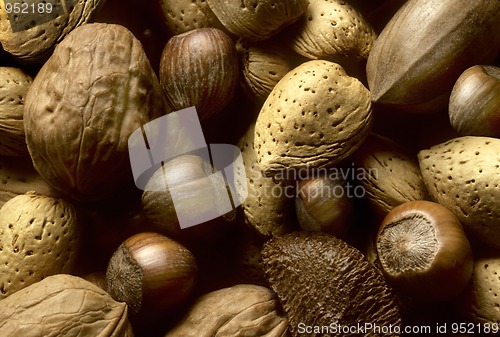 Image of Variety of tree nuts