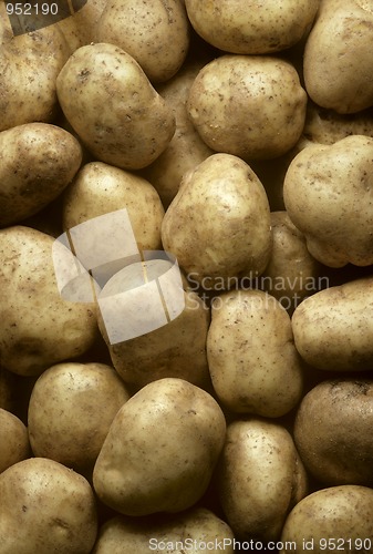 Image of Potatoes filling frame