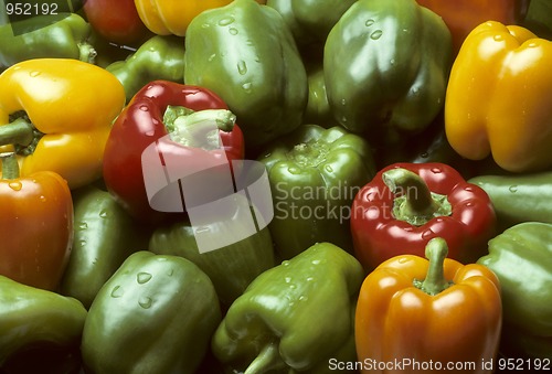 Image of Bell peppers of various colors