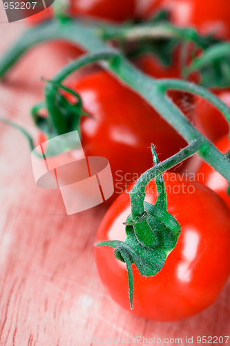Image of tomatoes bunch