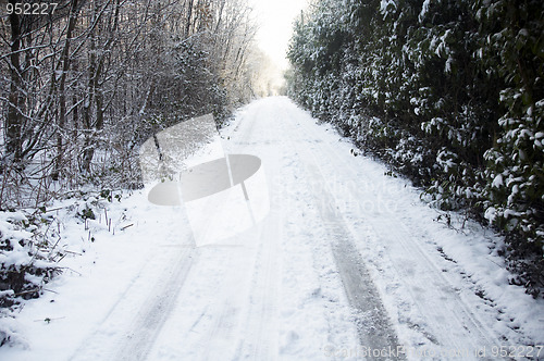 Image of Snowy lane