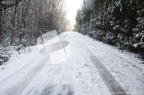 Image of Snowy lane