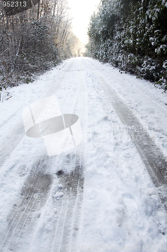 Image of Snowy lane