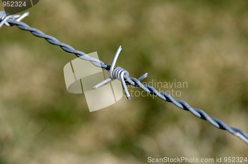 Image of Barb wire