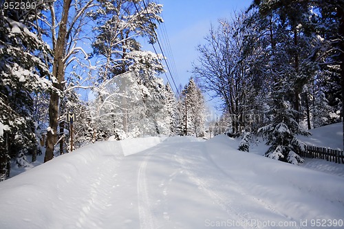 Image of Winterway