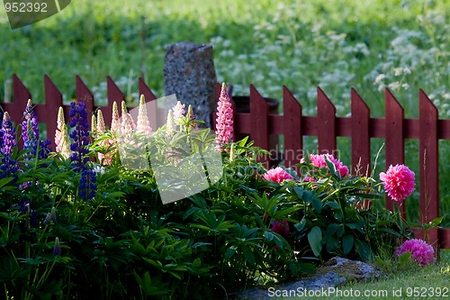 Image of flower bed