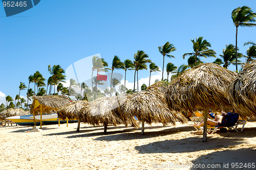 Image of Parasols on beach