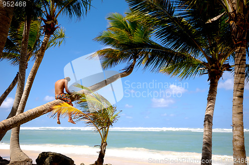 Image of Man sitting on palm