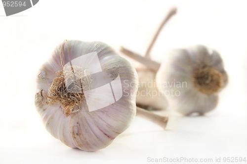 Image of Garlic