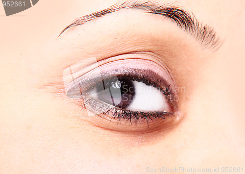 Image of beautiful brown eye