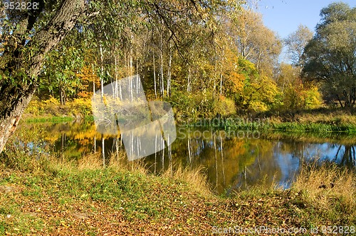 Image of Autumn. Riverside