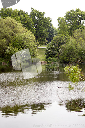 Image of Lake