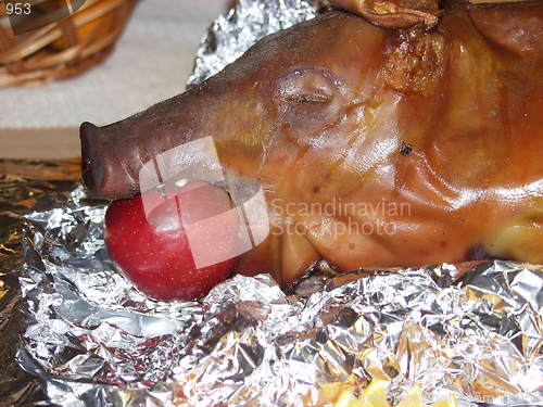 Image of Christmas pig