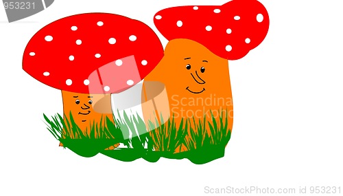 Image of fly agaric