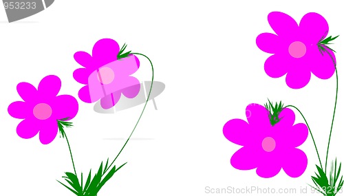 Image of pink flowers