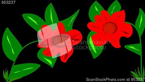 Image of red flower