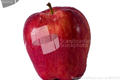 Image of Red ripe apple on a white background 