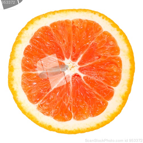 Image of Orange