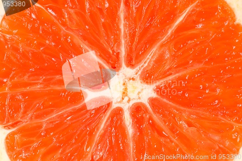 Image of Orange