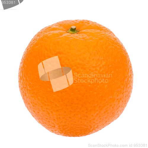 Image of Orange