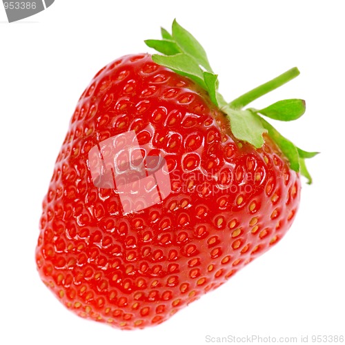 Image of Strawberry