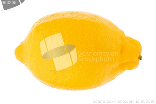 Image of Lemon