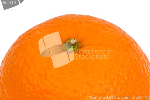 Image of Orange