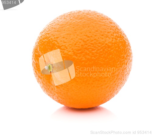 Image of Orange