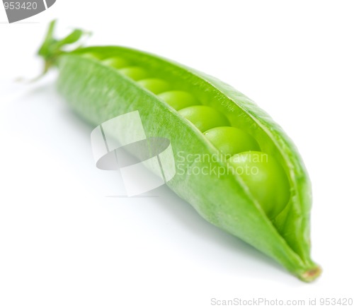 Image of Pea pod